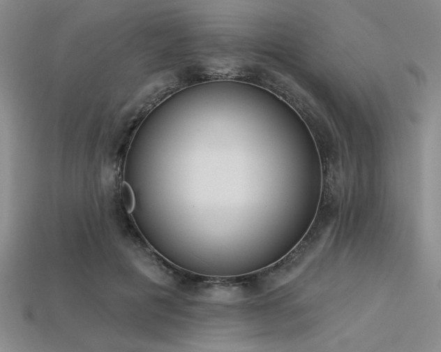 X0000113320601200909141357