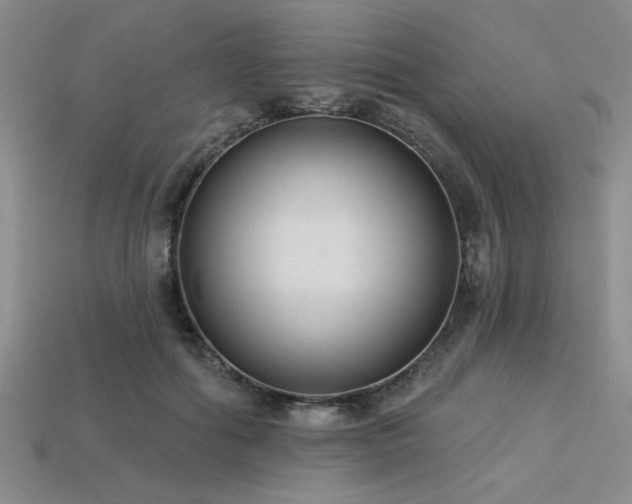 X0000113320602200909141357