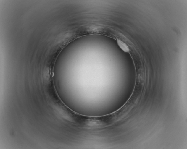 X0000113320605200909141357