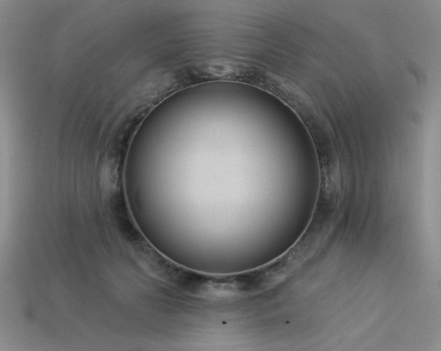 X0000113320606200909141357