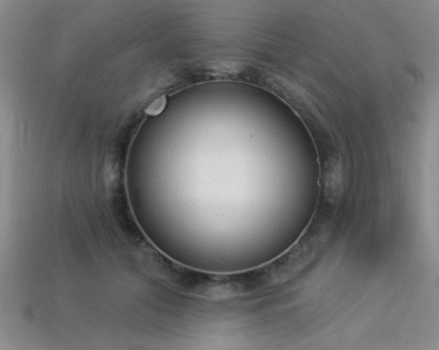 X0000113320608200909141357