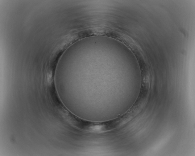 X0000113320610200909141357