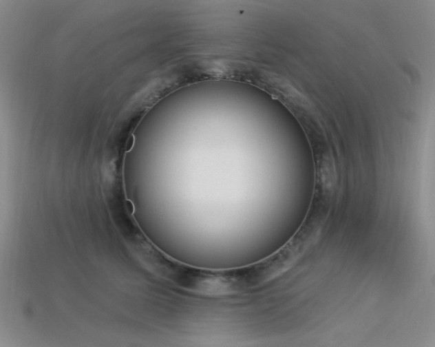 X0000113320611200909141357