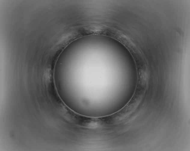 X0000113320612200909141357