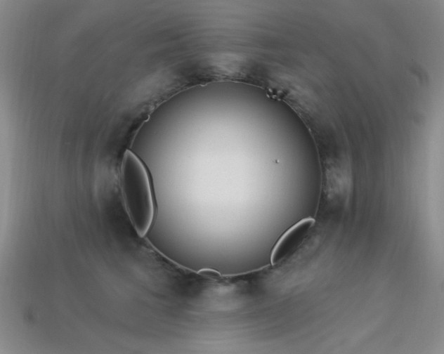 X0000113320613200909141357