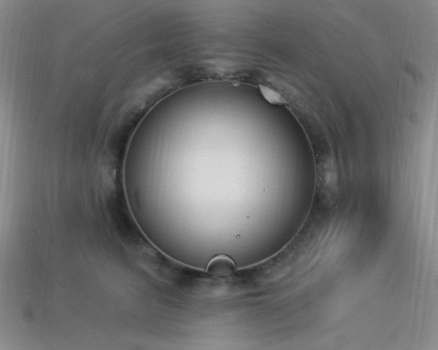 X0000113320615200909141356