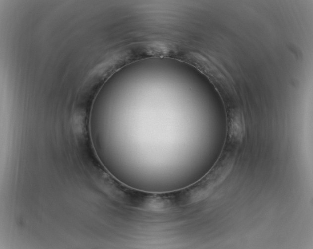 X0000113320616200909141356