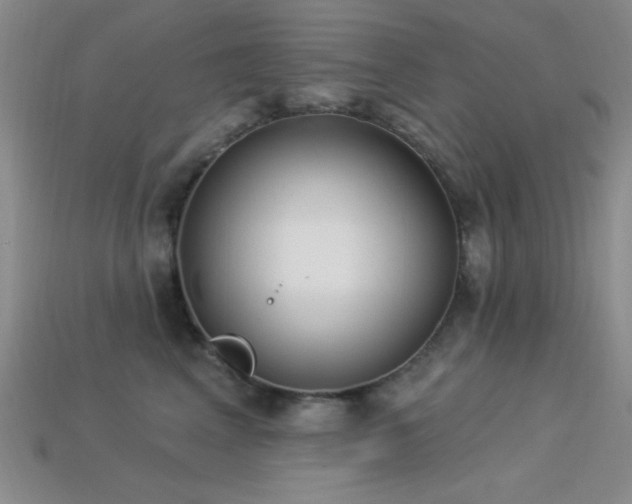 X0000113320617200909141356