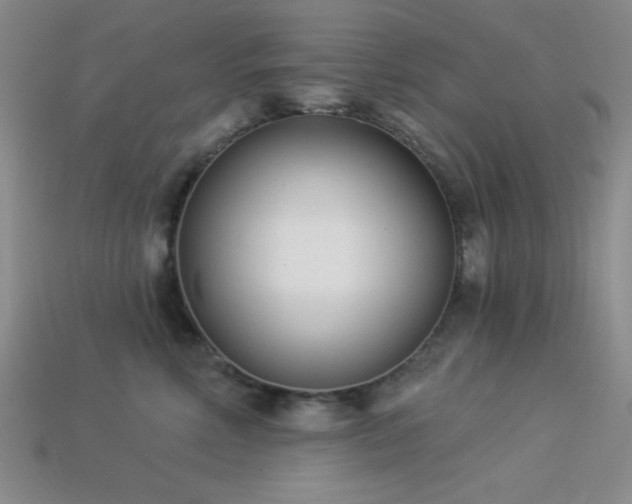 X0000113320618200909141356