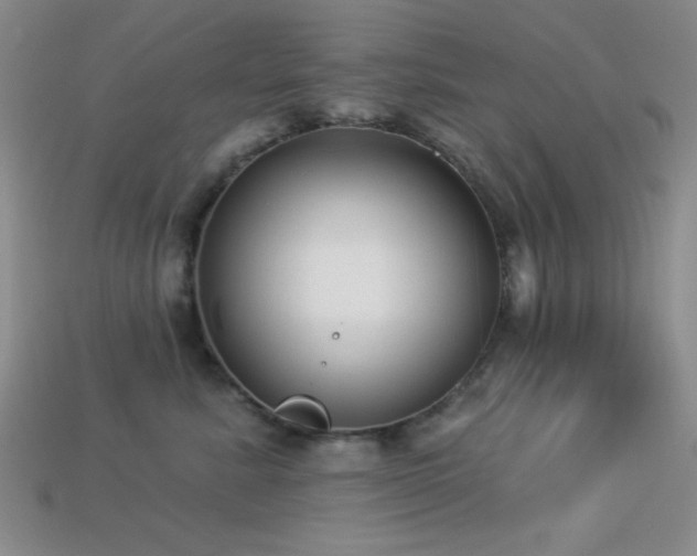 X0000113320619200909141356