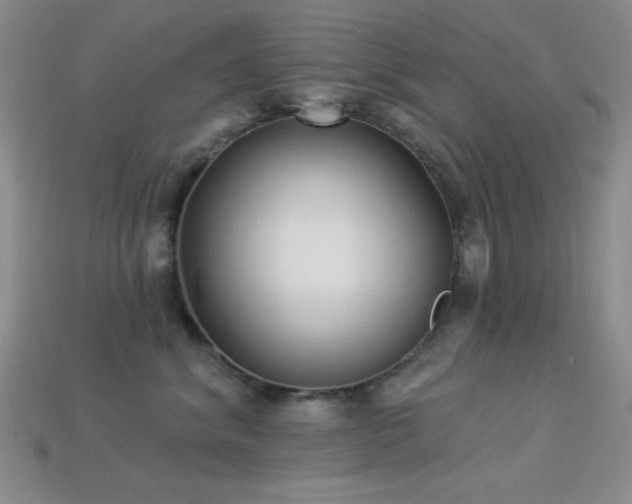 X0000113320620200909141356