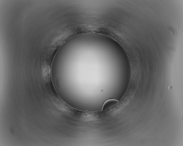 X0000113320624200909141356