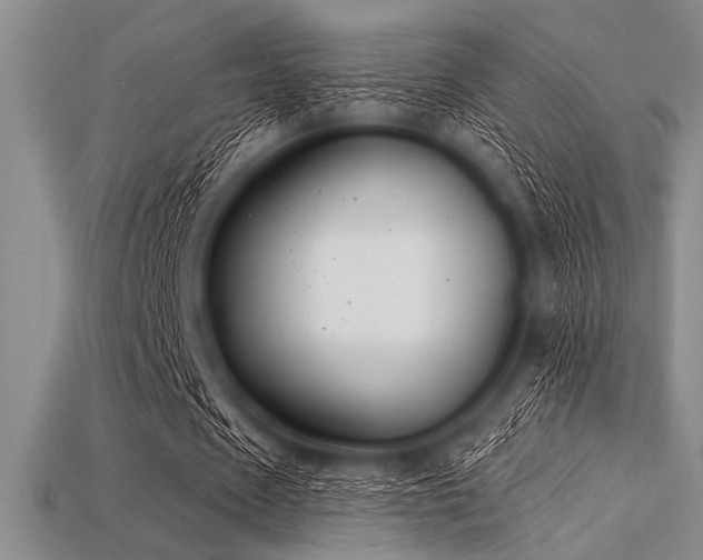 X0000113320625200909141356