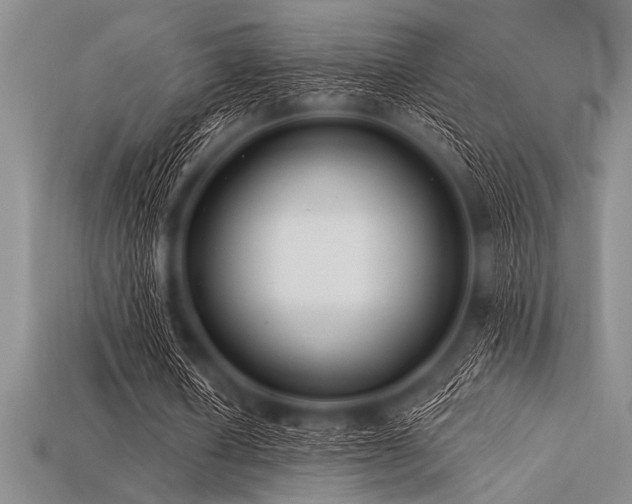 X0000113320626200909141356