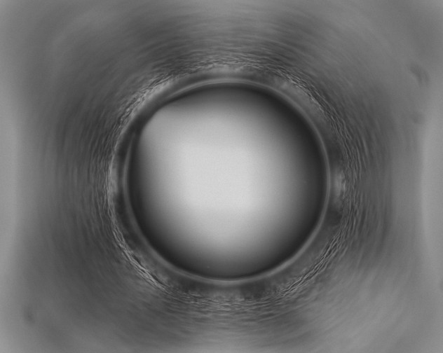 X0000113320628200909141356