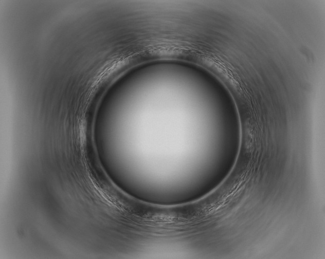 X0000113320631200909141356