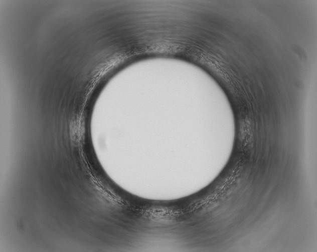 X0000113320632200909141356