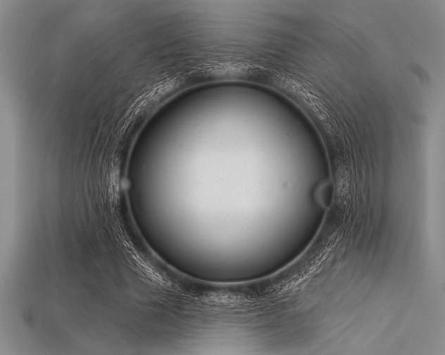 X0000113320633200909141356