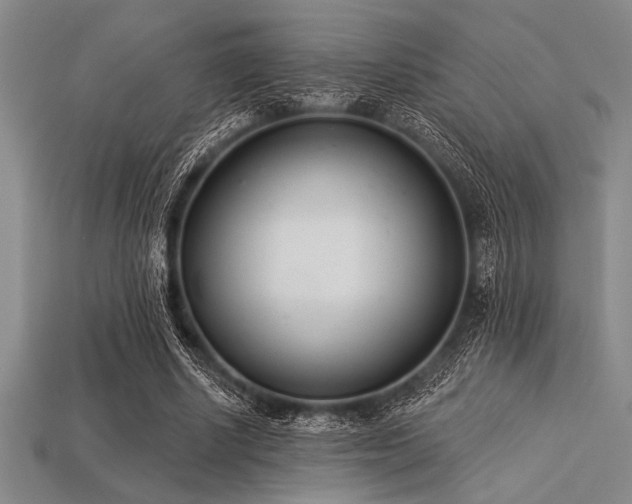 X0000113320634200909141356