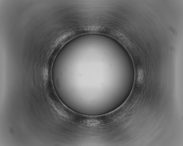 X0000113320636200909141356