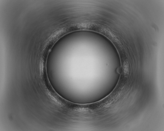 X0000113320637200909141356