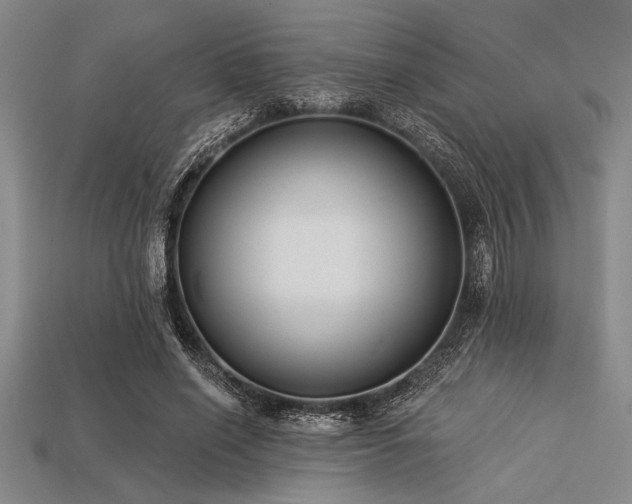 X0000113320638200909141356