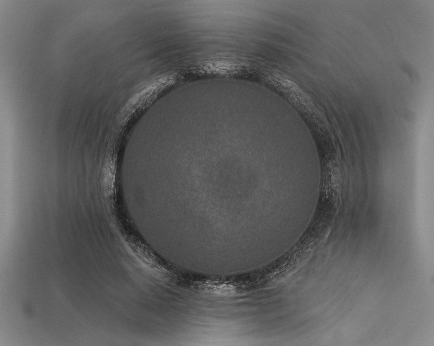 X0000113320640200909141356