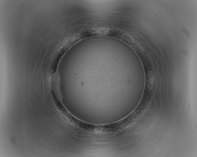 X0000113320641200909141356