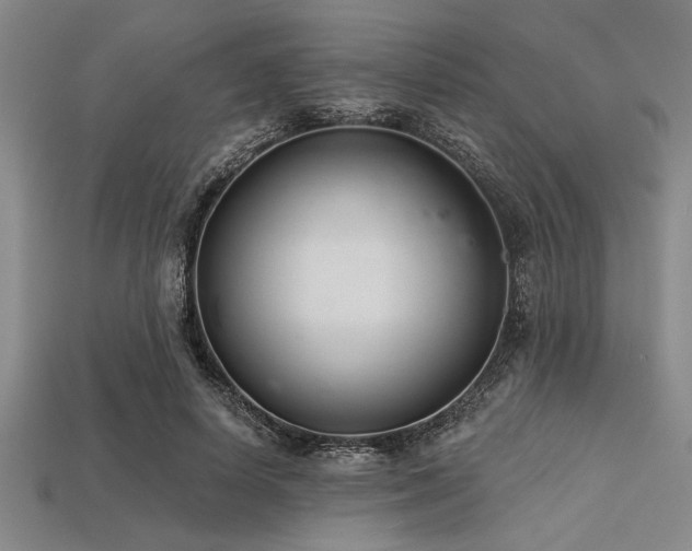 X0000113320642200909141356