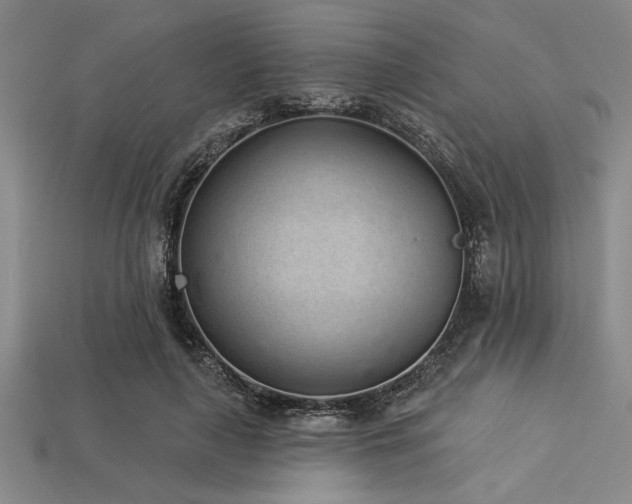 X0000113320643200909141356