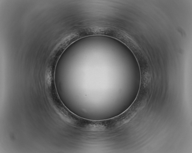 X0000113320644200909141356