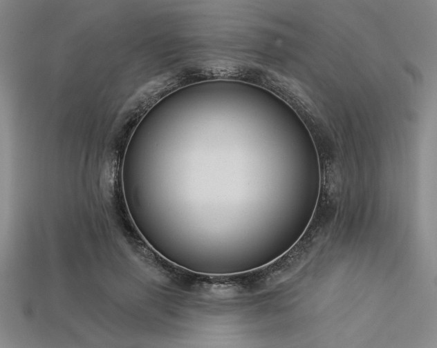 X0000113320645200909141356