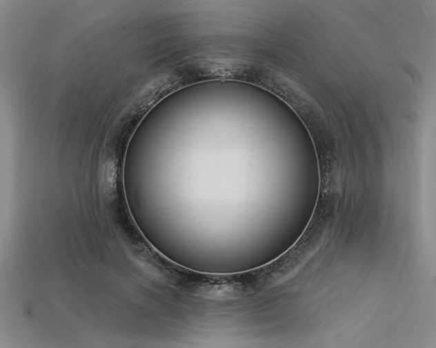 X0000113320646200909141356