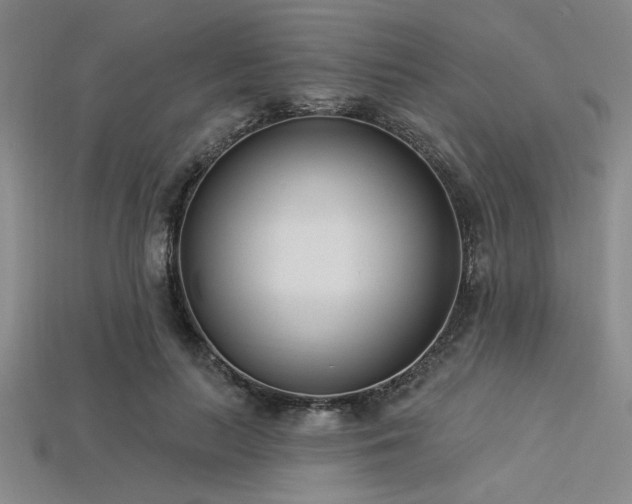 X0000113320647200909141356