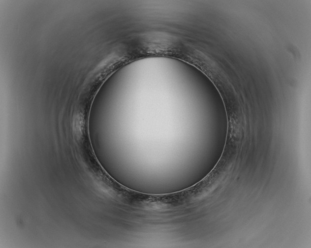 X0000113320648200909141356