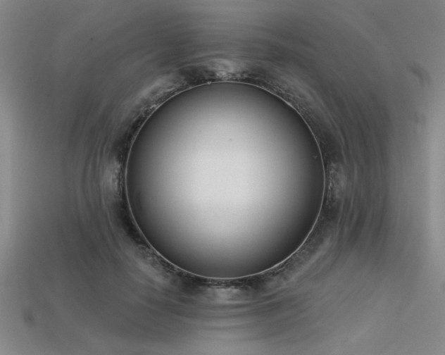 X0000113320650200909141356