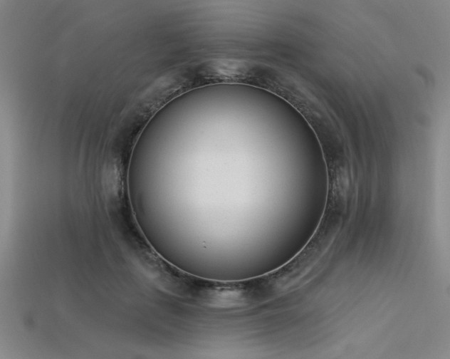 X0000113320651200909141356