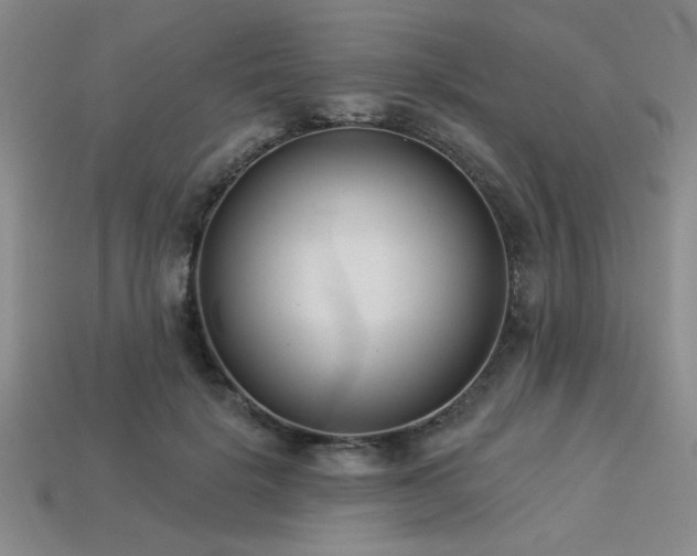 X0000113320652200909141356