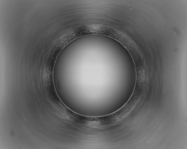 X0000113320653200909141356