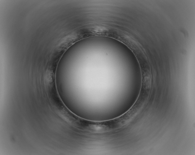 X0000113320654200909141356