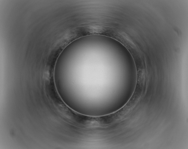 X0000113320655200909141356