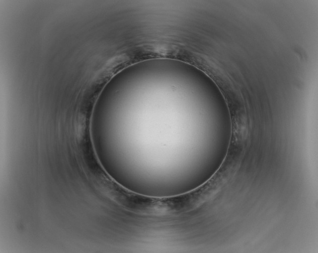 X0000113320656200909141356