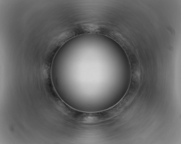 X0000113320658200909141356