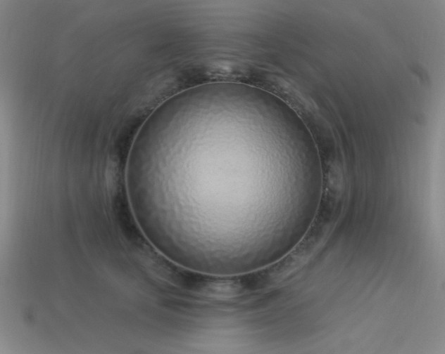 X0000113320659200909141356