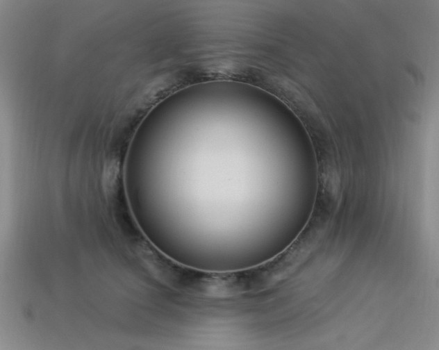 X0000113320660200909141356