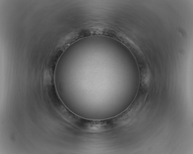 X0000113320661200909141356