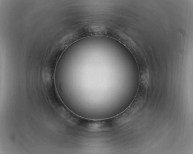 X0000113320662200909141356