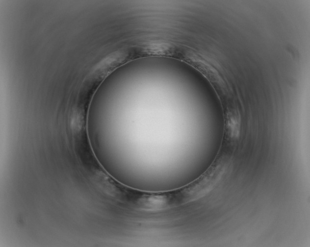 X0000113320665200909141356