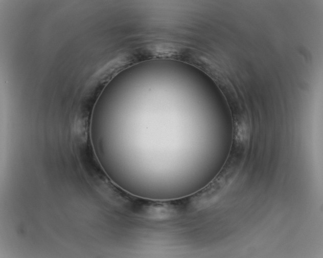 X0000113320666200909141356