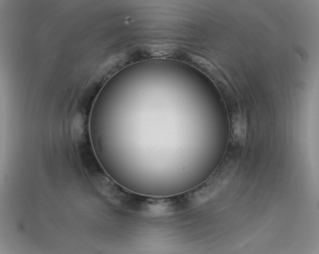 X0000113320667200909141356